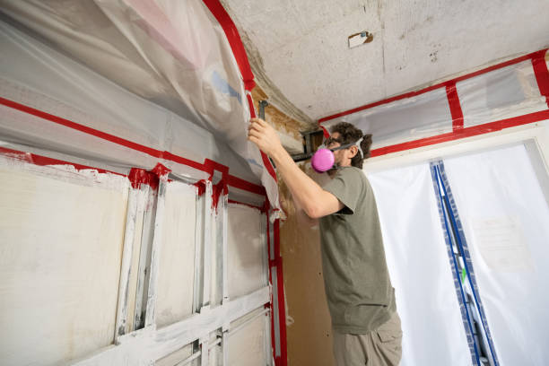 Best Post-Construction Mold Inspection  in New Port Richey, FL