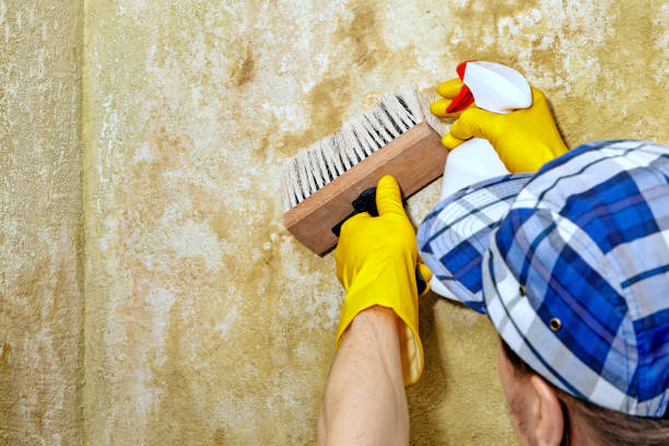 Best Indoor Air Quality Assessment  in New Port Richey, FL